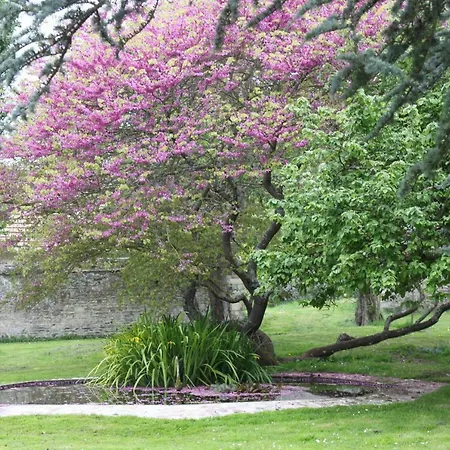 Manoir De L'oseraie Amaye-sur-Orne